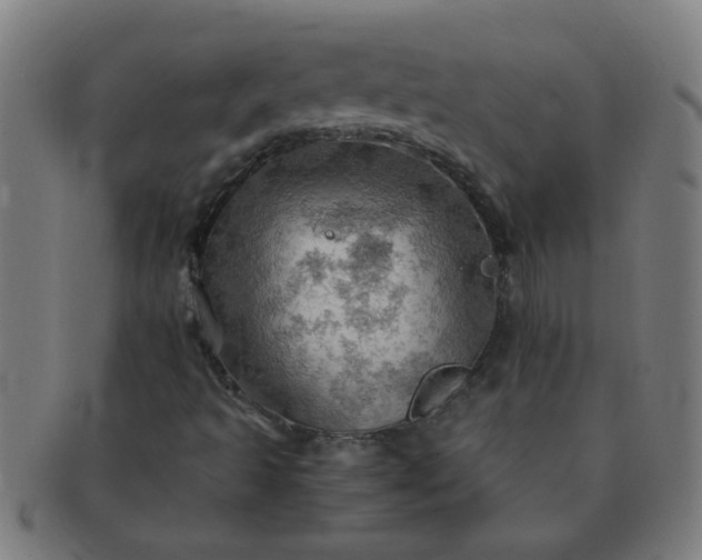 X0000091361493200708241258