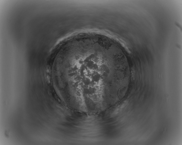 X0000091361494200708241258