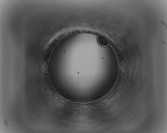 X0000091361495200708241258