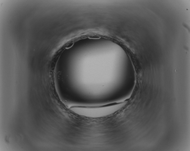 X0000091361496200708241258