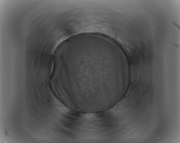 X0000091361497200708241258