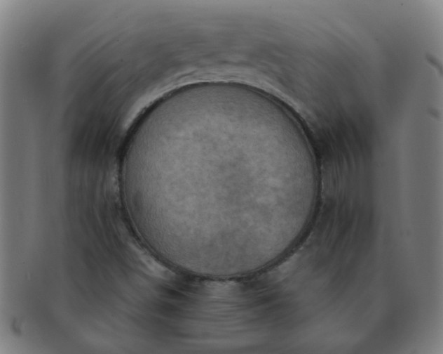 X0000091361498200708241258