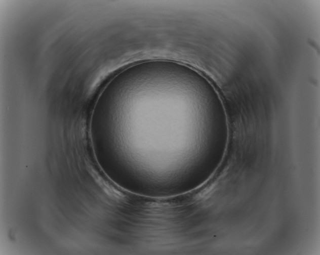 X0000091361499200708241258