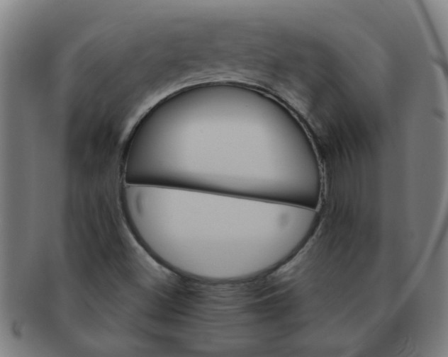 X0000091361500200708241258