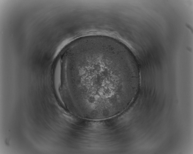 X0000091361501200708241258