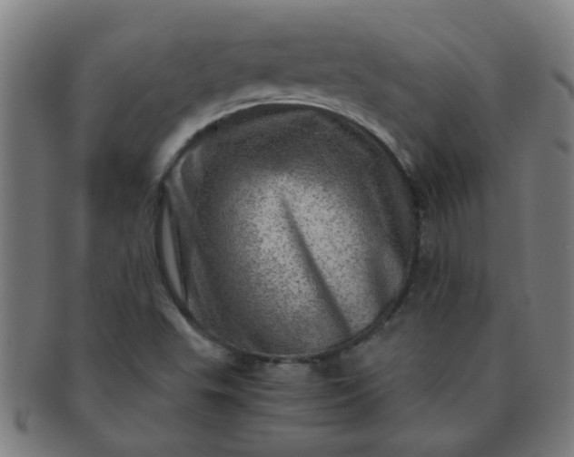 X0000091361503200708241258
