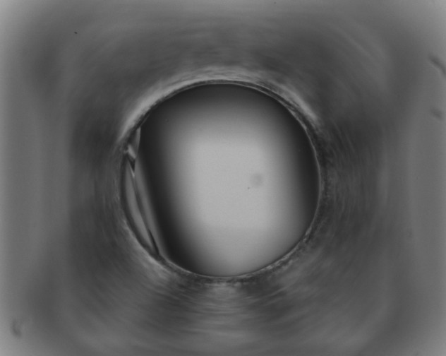 X0000091361504200708241258