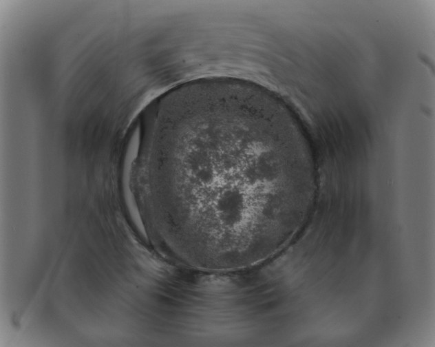 X0000091361505200708241258
