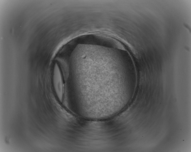 X0000091361506200708241258