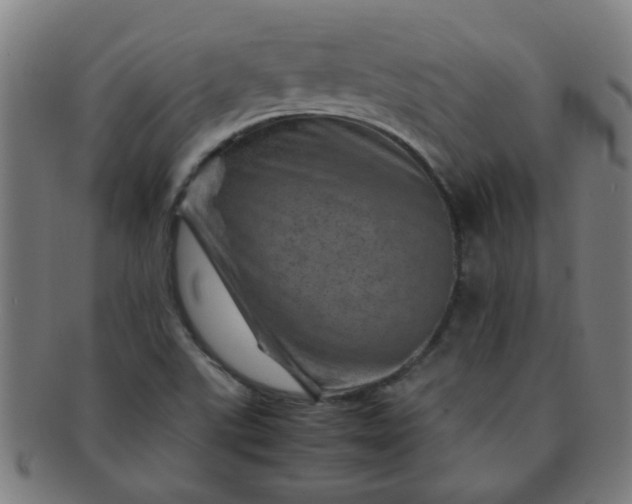 X0000091361507200708241258