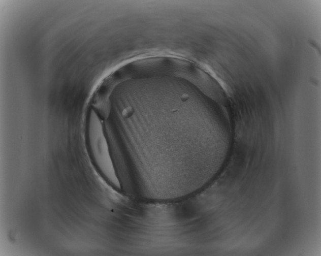 X0000091361508200708241258