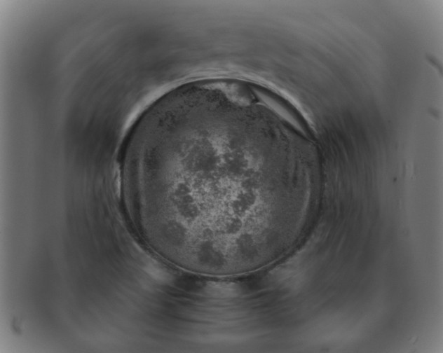 X0000091361509200708241258