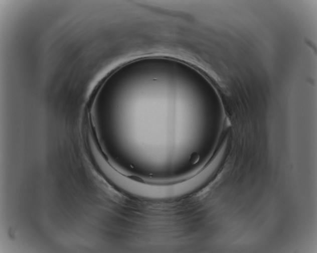 X0000091361510200708241259