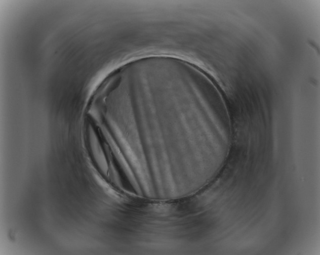 X0000091361511200708241259