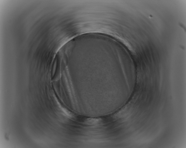 X0000091361513200708241259