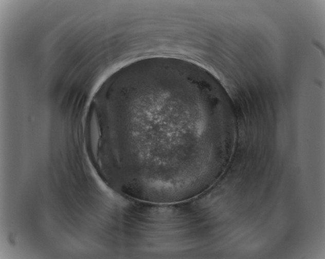X0000091361515200708241259