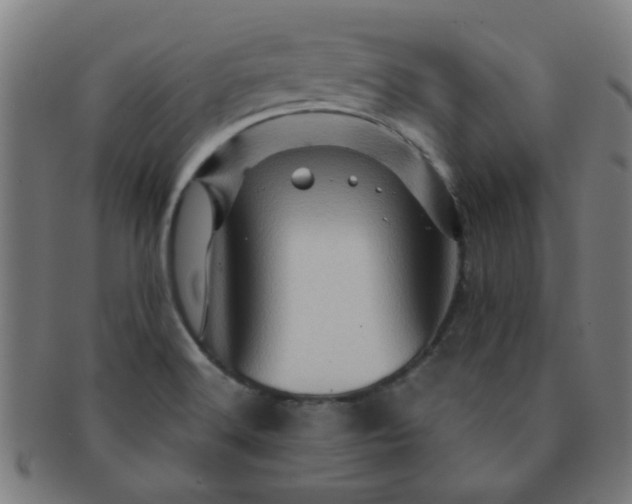 X0000091361516200708241259