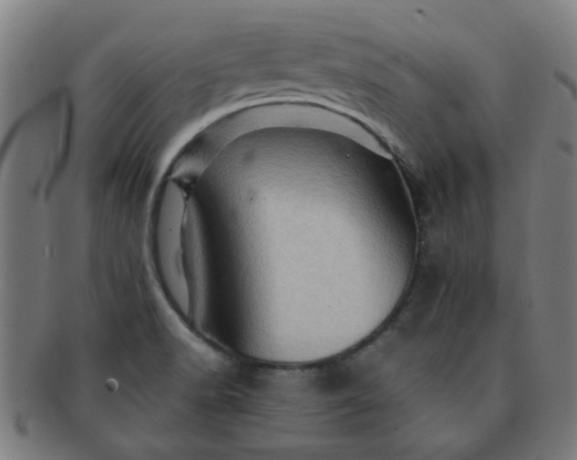 X0000091361518200708241259