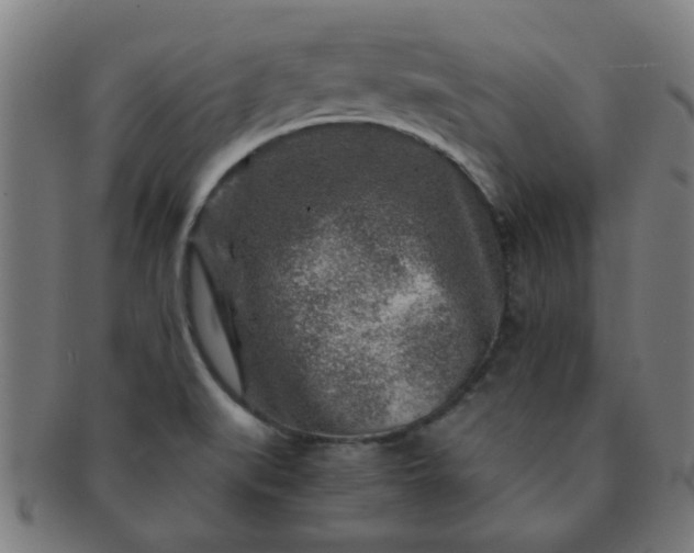 X0000091361519200708241259