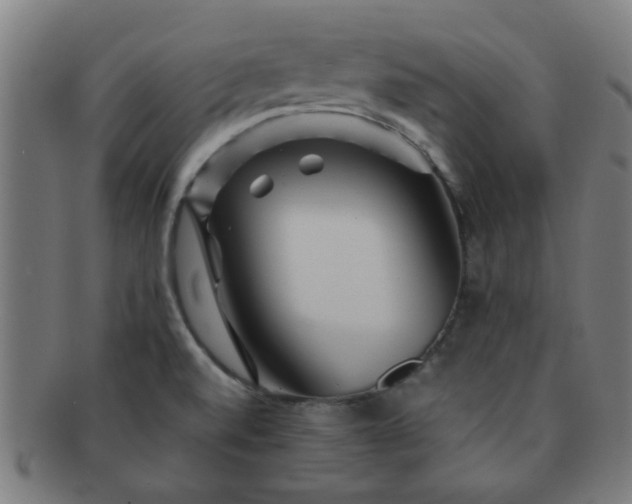 X0000091361520200708241259