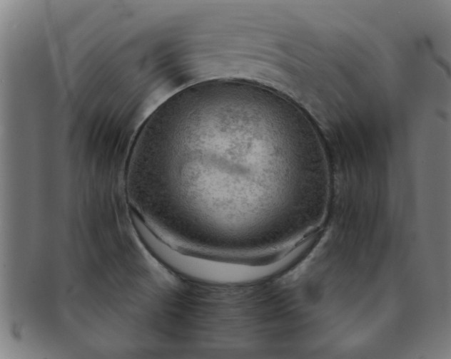 X0000091361521200708241259