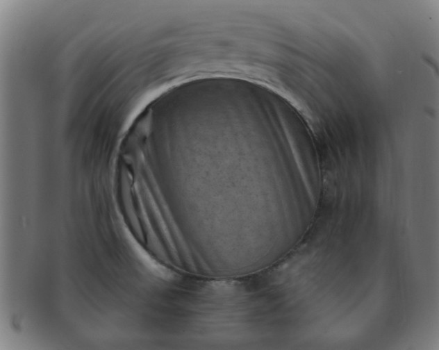 X0000091361523200708241259