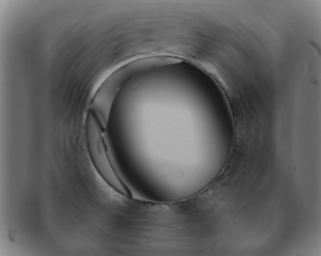 X0000091361524200708241259
