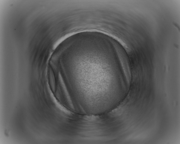 X0000091361526200708241259