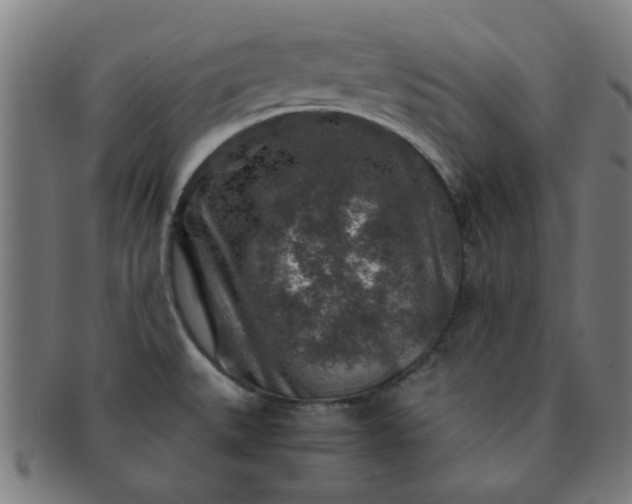 X0000091361527200708241259