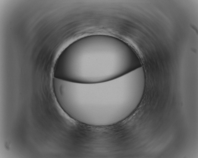 X0000091361528200708241259