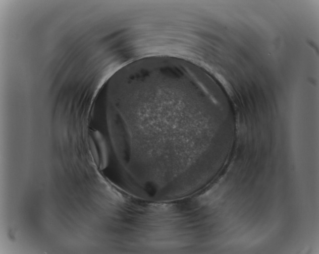 X0000091361529200708241259