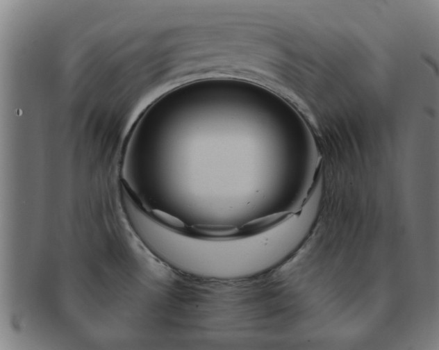 X0000091361530200708241259