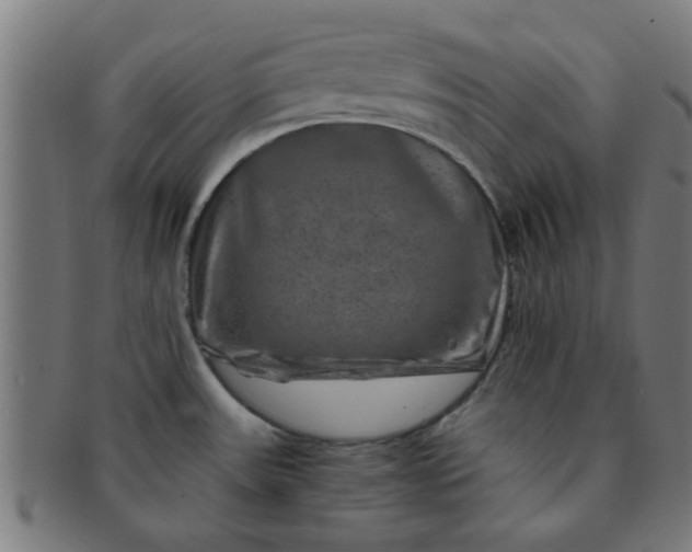 X0000091361531200708241259