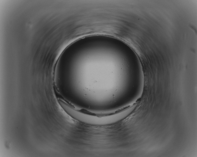 X0000091361532200708241259