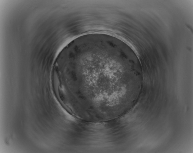 X0000091361533200708241259