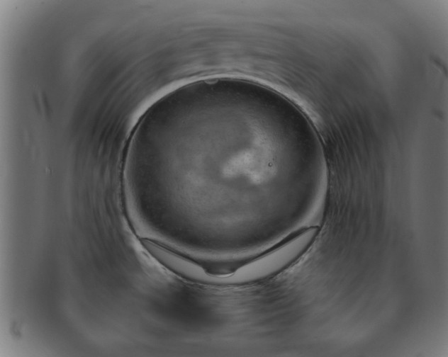 X0000091361534200708241259