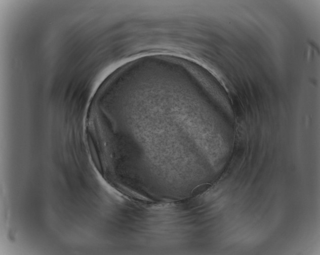 X0000091361535200708241259