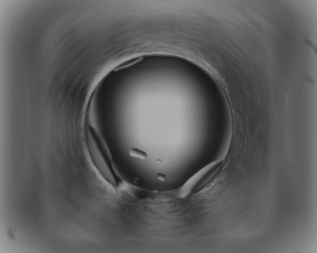 X0000091361536200708241259