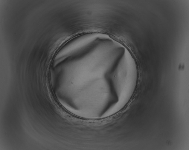 X0000091360001200708311514