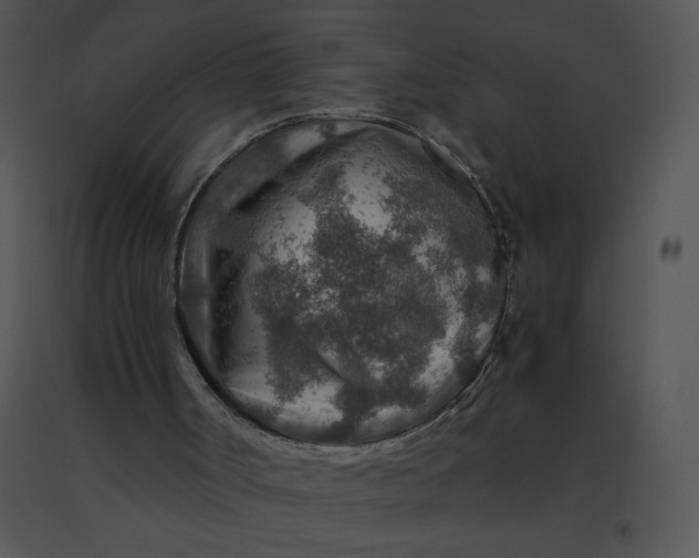 X0000091360002200708311514