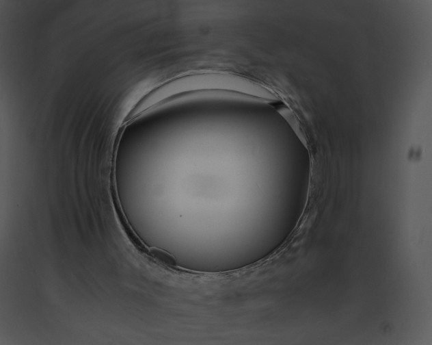 X0000091360003200708311514