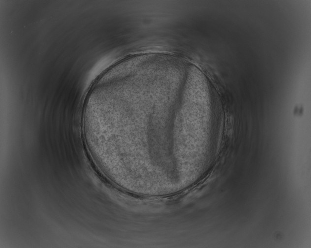 X0000091360004200708311514