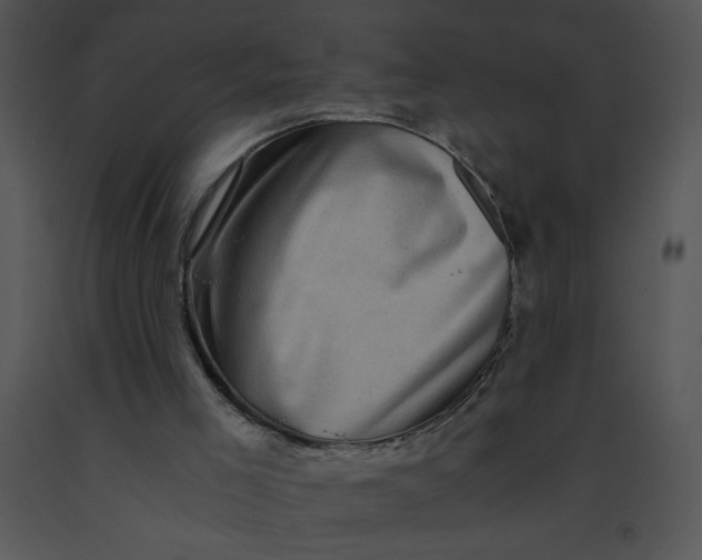 X0000091360005200708311514