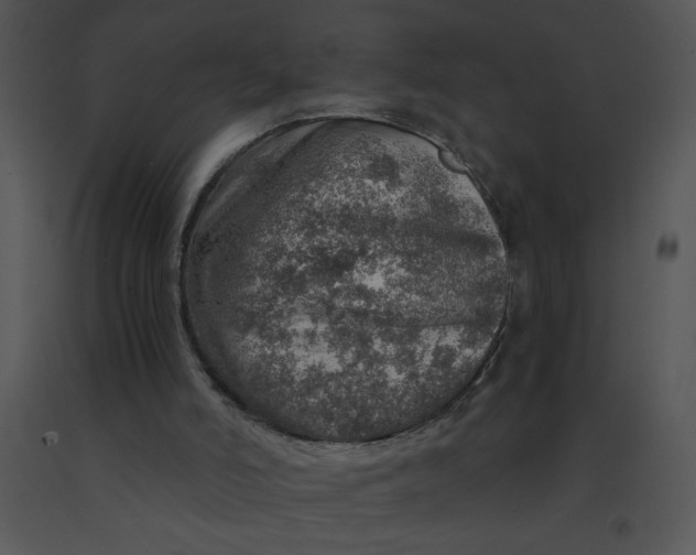X0000091360006200708311514