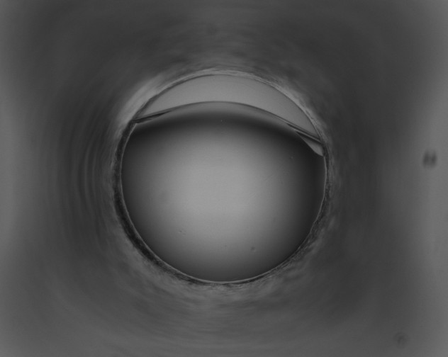 X0000091360007200708311514