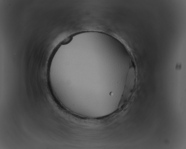 X0000091360008200708311514