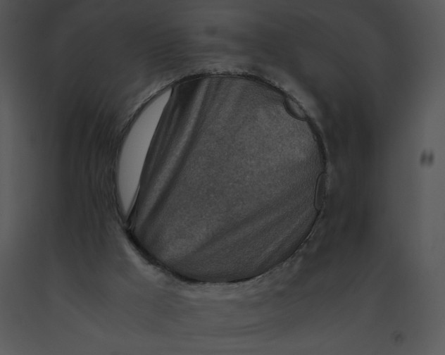 X0000091360009200708311514