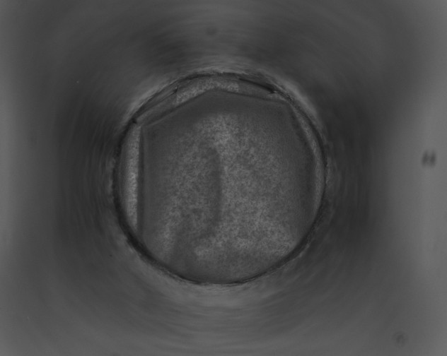 X0000091360010200708311514