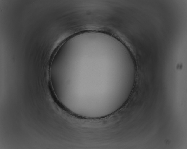 X0000091360011200708311514