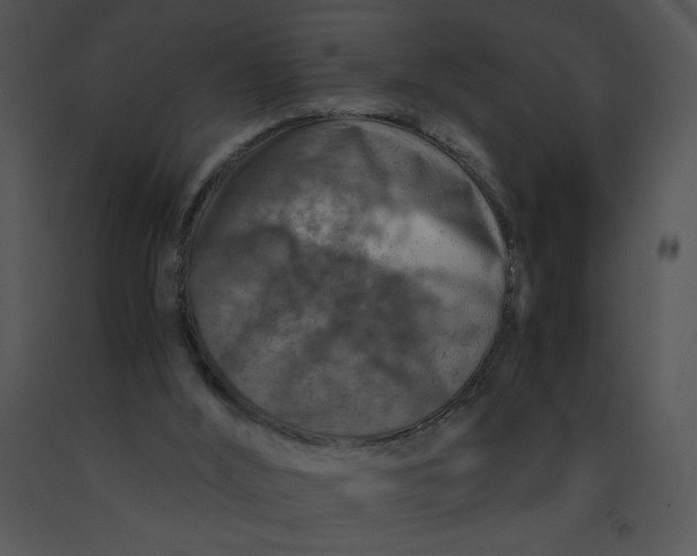 X0000091360012200708311514